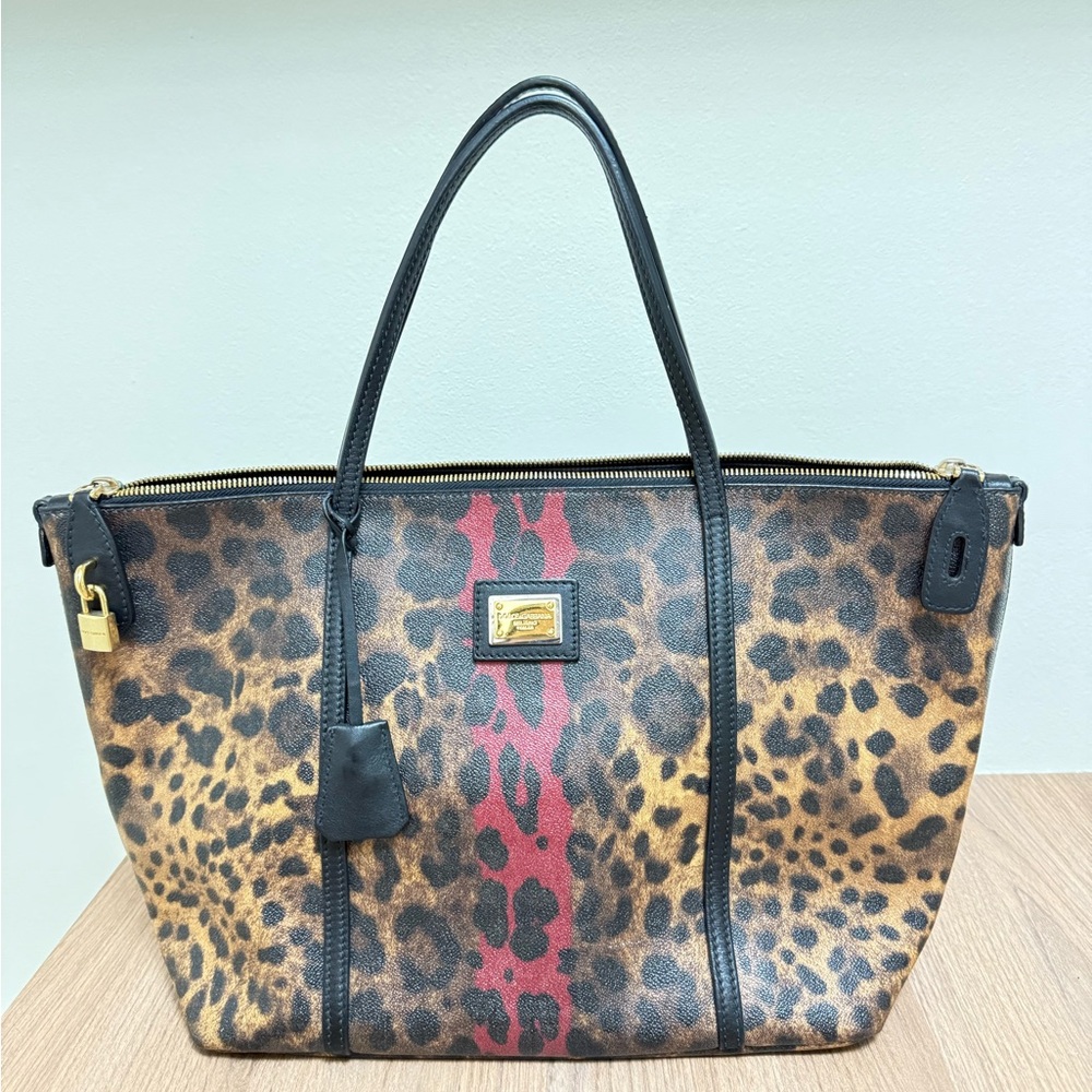 Dolce & Gabbana Red and Brown Leopard Print Bag